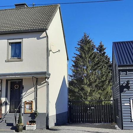 Haus Schneider Kaetchen Villa Deudesfeld Bagian luar foto