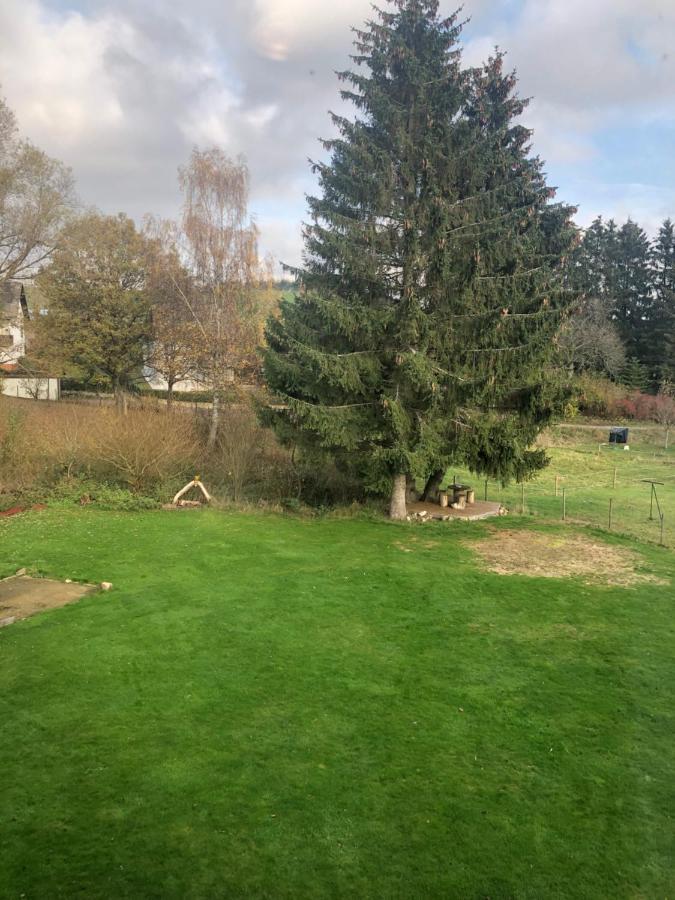 Haus Schneider Kaetchen Villa Deudesfeld Bagian luar foto